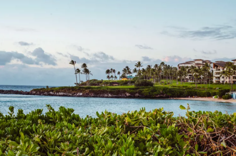 This Luxury Resort in Brazil Is Next to One of the World's